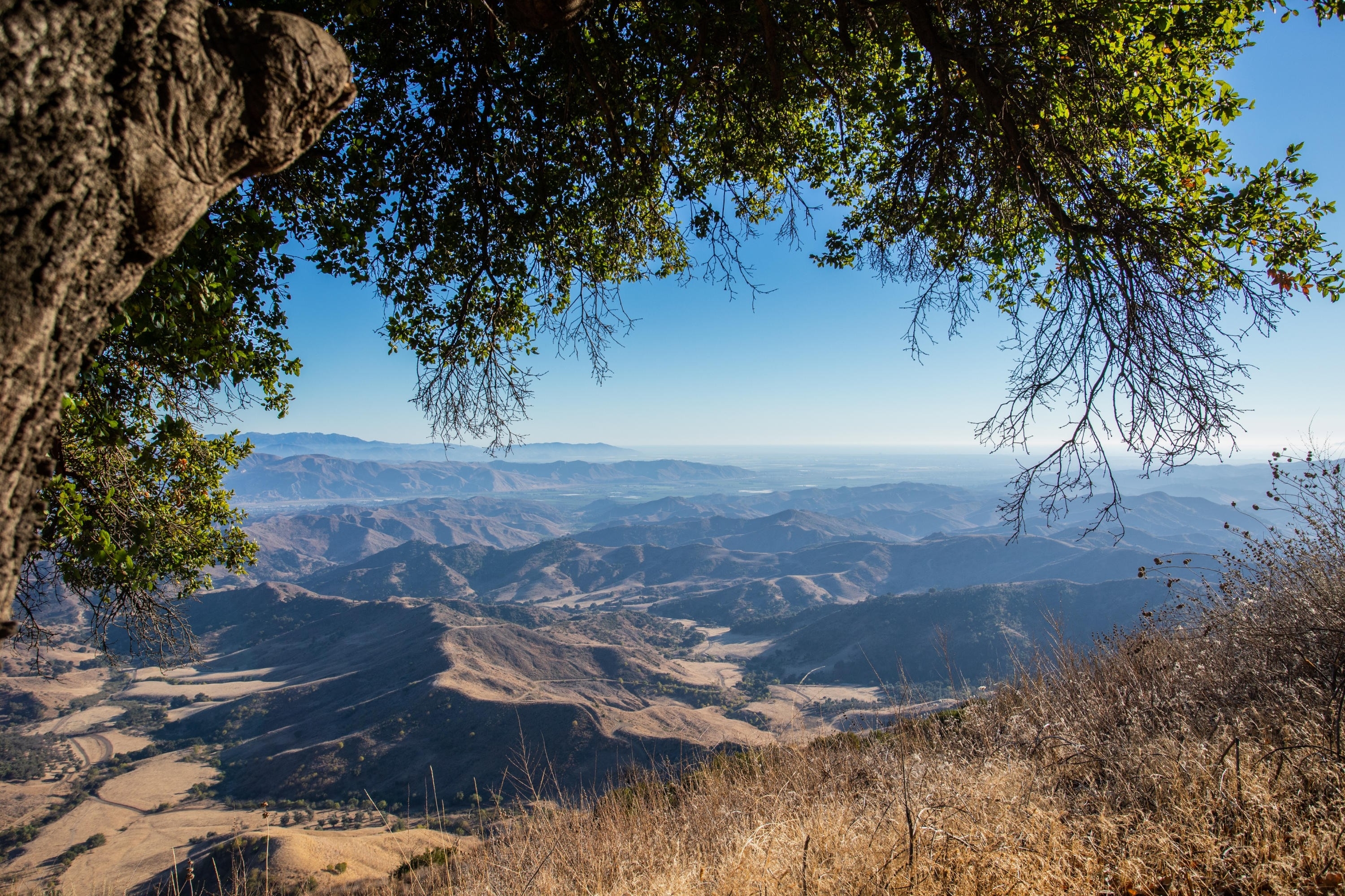 1. Land for Sale at Ojai, CA 93023