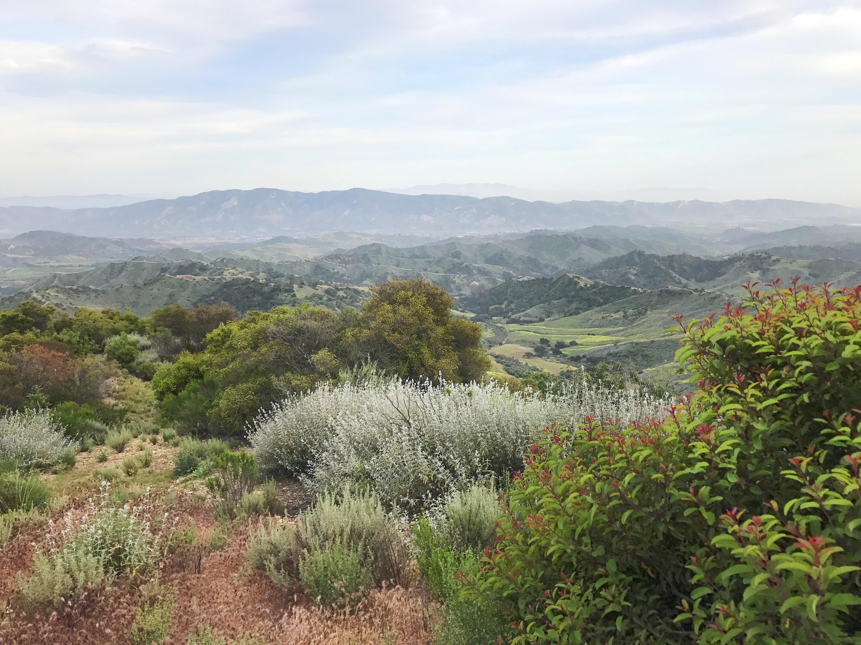 9. Land for Sale at Ojai, CA 93023