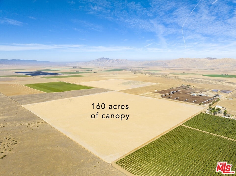 13. Land for Sale at Cuyama, CA 93252