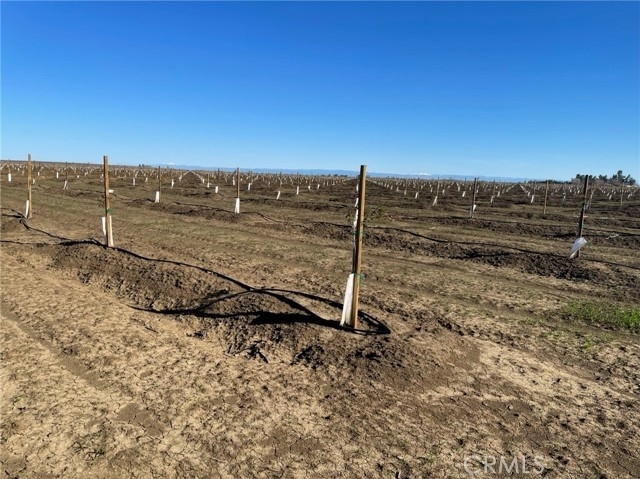 Land for Sale at Willows, CA 95988