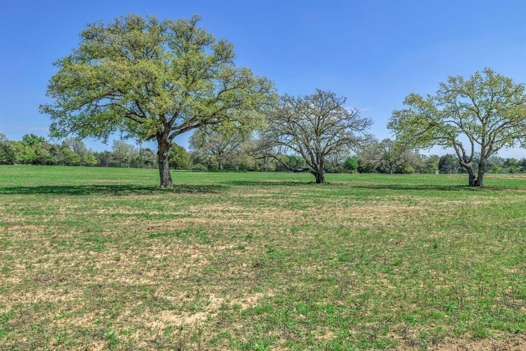 17. Farm and Ranch Properties for Sale at Paige, TX 78659