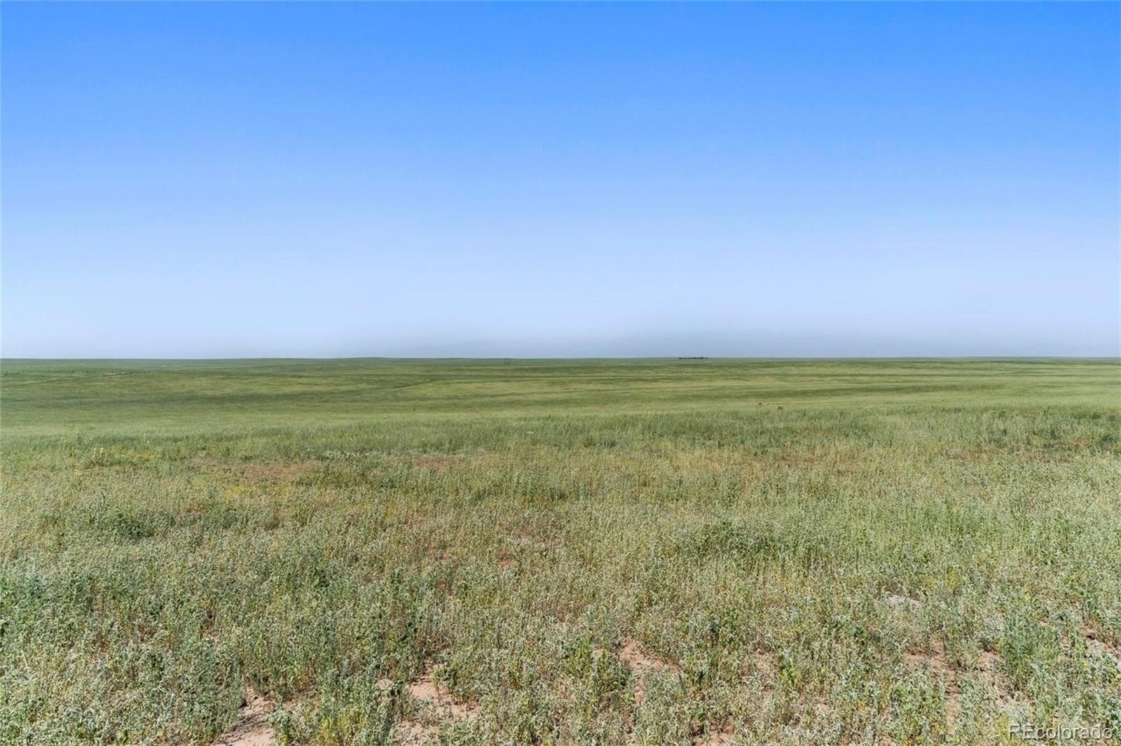 12. Land for Sale at Colorado Springs, CO 80930