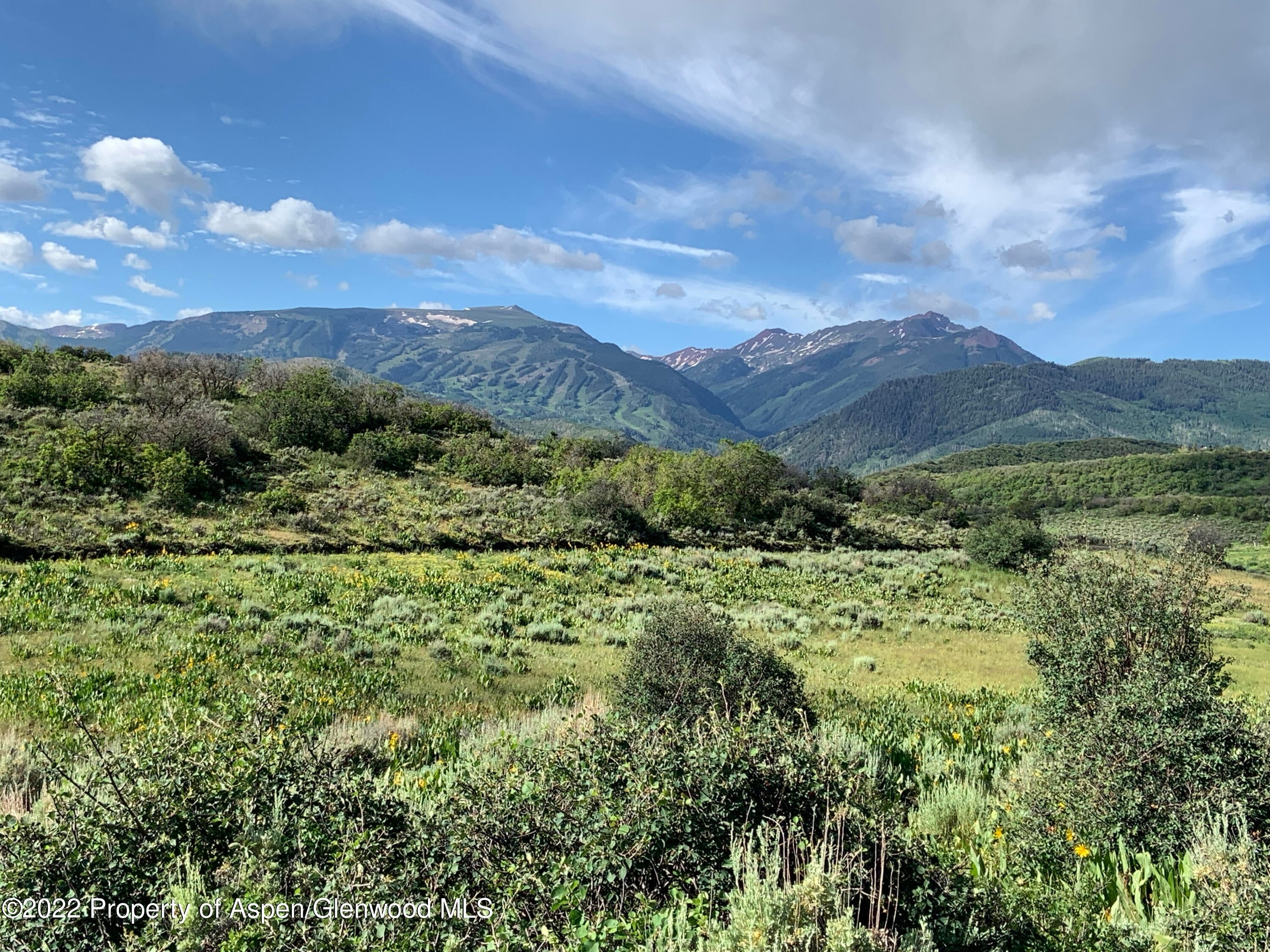 5. Land for Sale at Snowmass, CO 81654