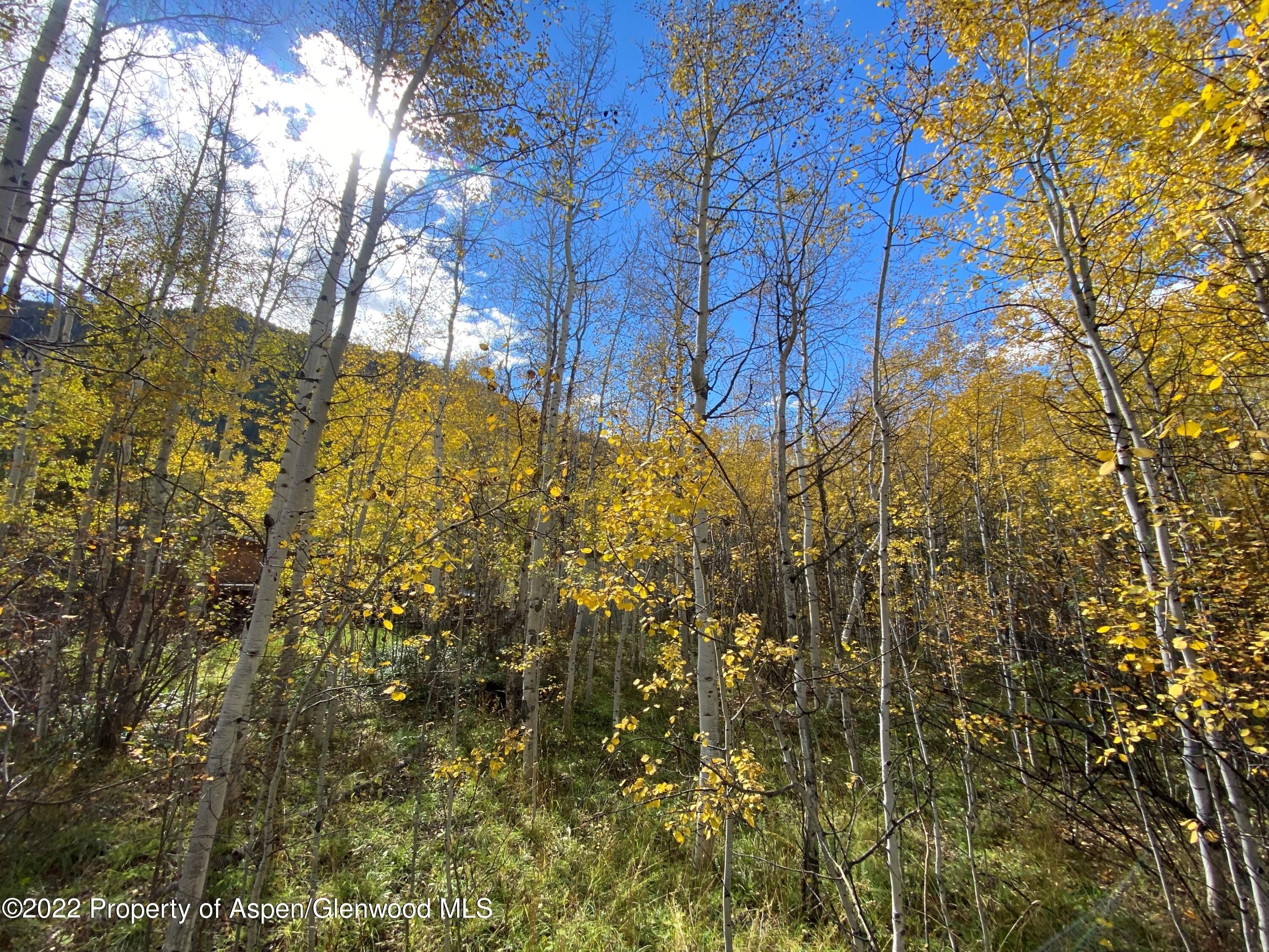 Land for Sale at The East End, Aspen, CO 81611