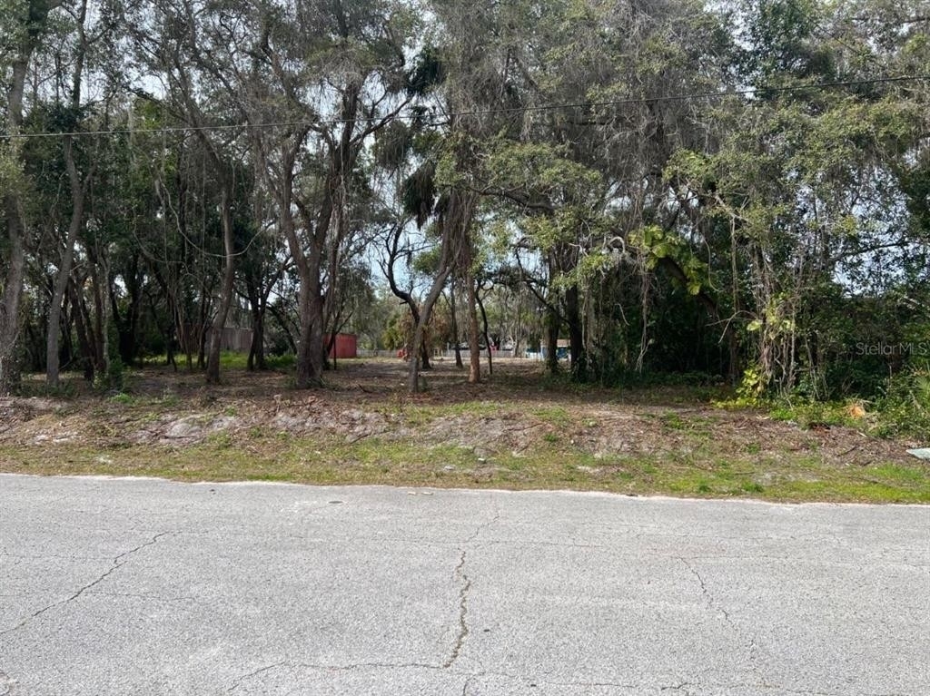 5. Land для того Продажа на Bass Lake Estates, New Port Richey, FL 34654