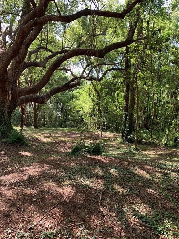 16. Land for Sale at Dade City, FL 33525