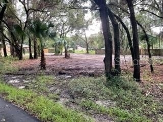 14. Land for Sale at Bass Lake Estates, New Port Richey, FL 34654