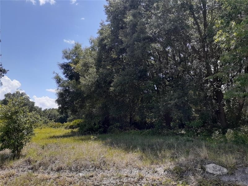 2. Land for Sale at Lake Wales, FL 33859