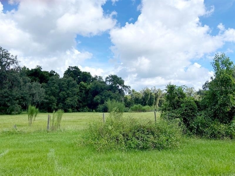 Land for Sale at Dade City, FL 33523