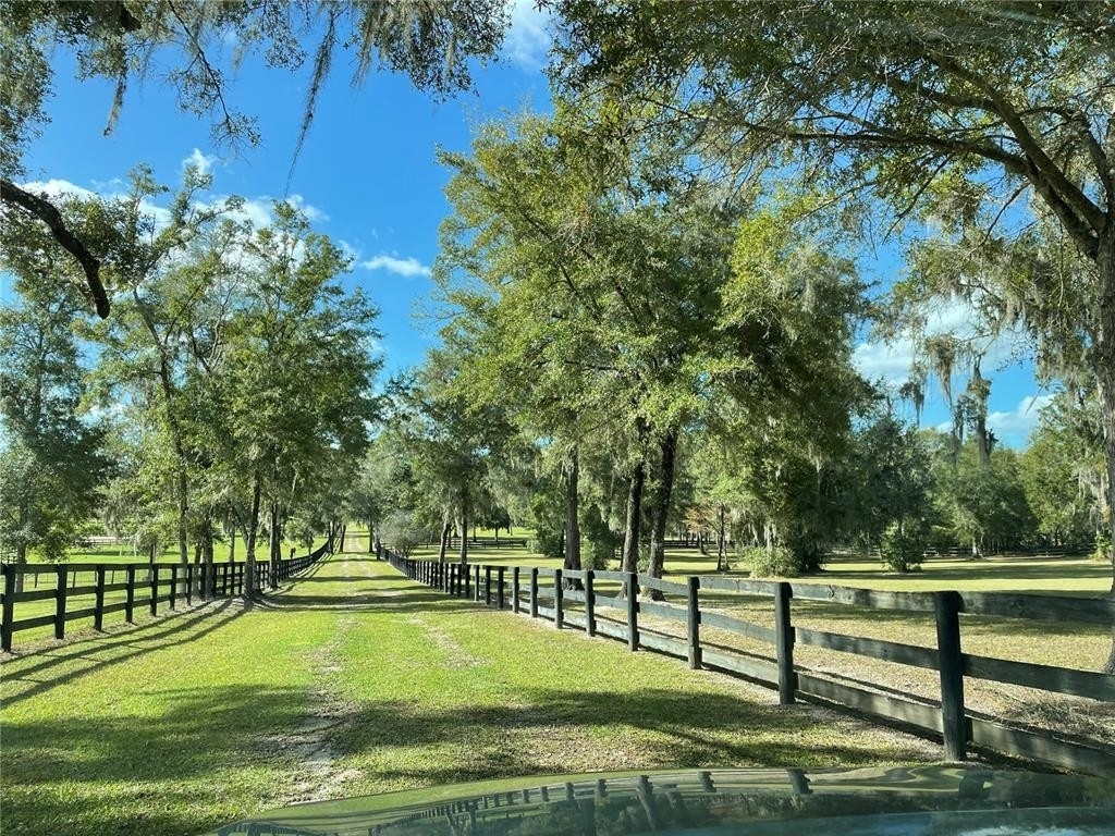 27. Farm and Ranch Properties for Sale at Ocala, FL 34482