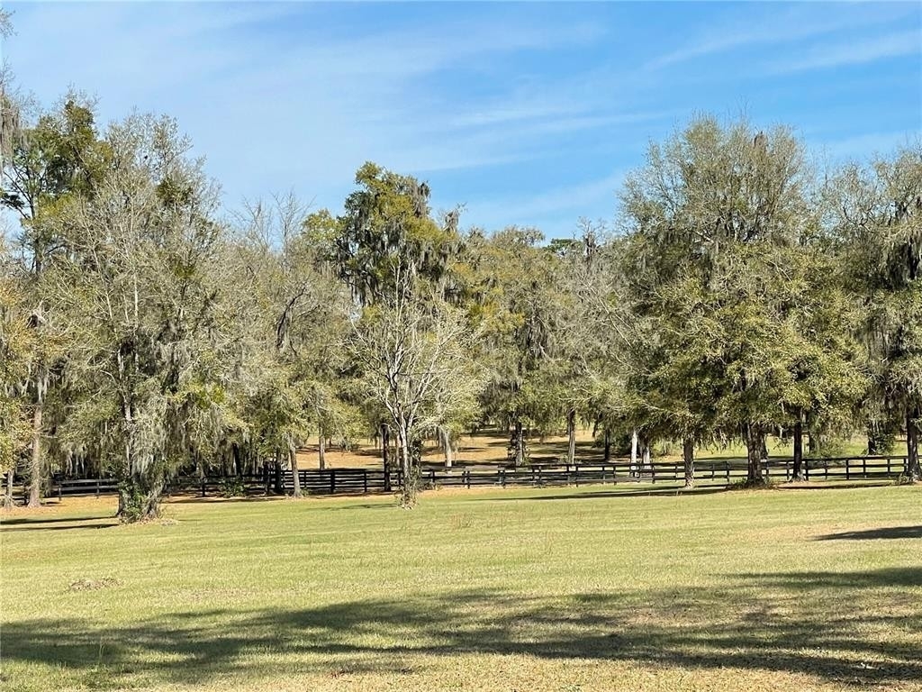 36. Farm and Ranch Properties for Sale at Ocala, FL 34482