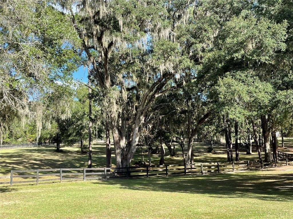 30. Farm and Ranch Properties for Sale at Ocala, FL 34482