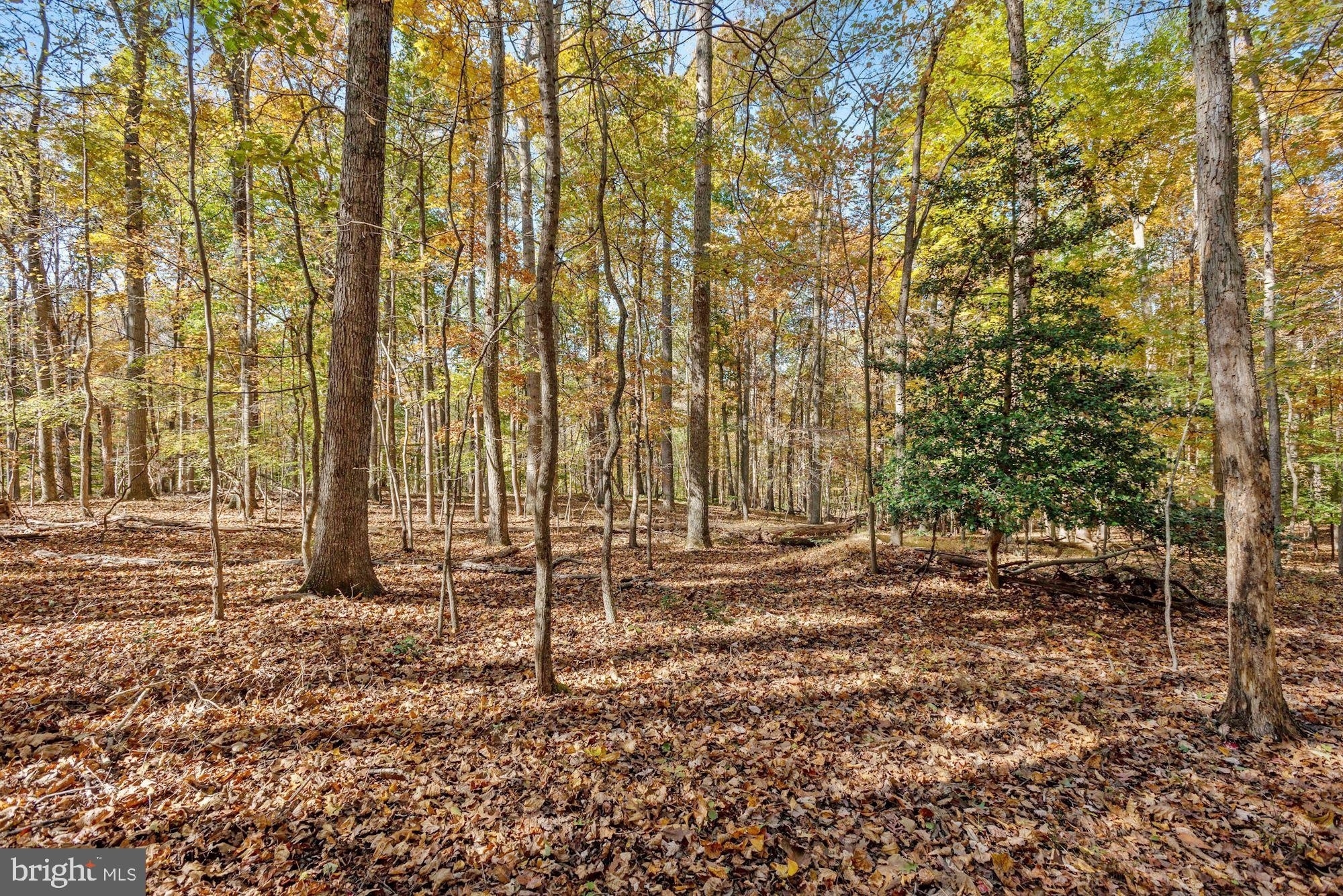 4. Land for Sale at Great Falls, VA 22066