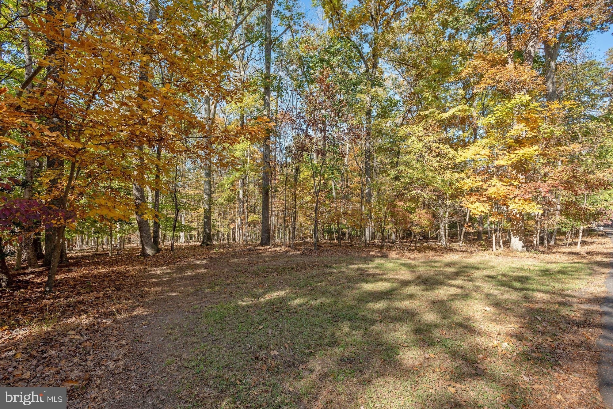 3. Land for Sale at Great Falls, VA 22066