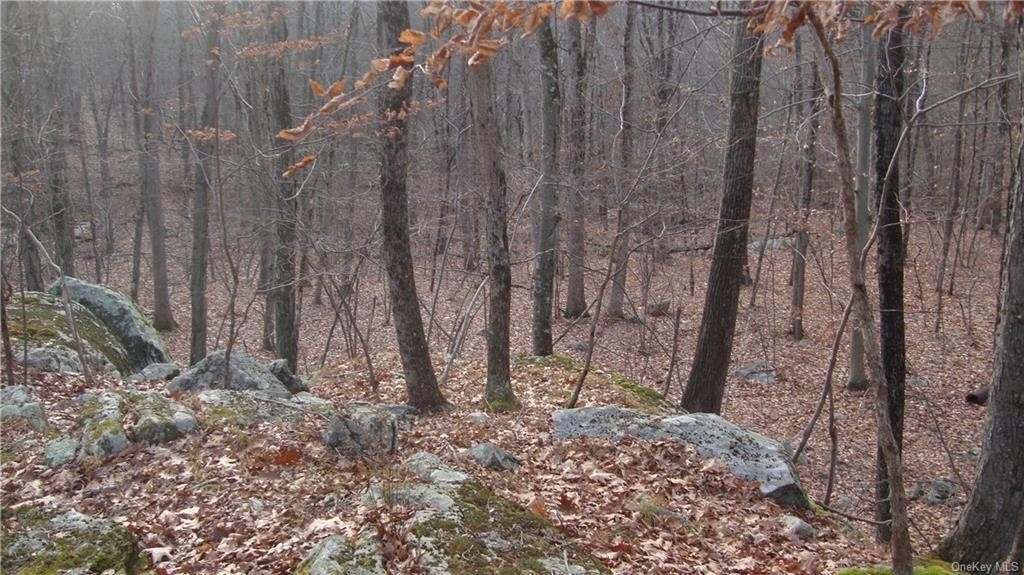 3. Land for Sale at Putnam Valley, NY 10579